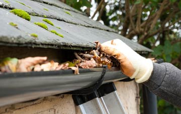 gutter cleaning Combe