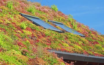 Combe living roof systems